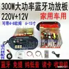Placa Base Subwoofer 220 Volt Bluetooth Amplificador de Alta Potencia Audiófilo Placa Amplificadora 12V Núcleo de Coche Circuito de Altavoz de Coche 300W