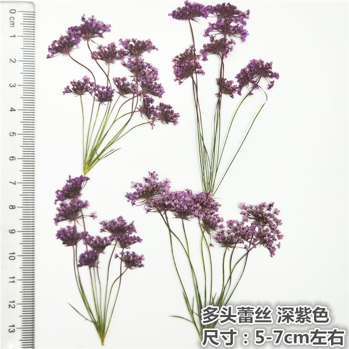 IMG20180626164540