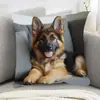Funda de Almohada de Perro de Alpaca Más Vendida Transfronteriza, Linda Funda de Cojín Decorativa para Dormitorio de Gato, Hogar, Sofá