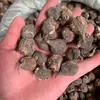 Maca Peruana Pura Maca Pequena Maca Peruana Maca Preta Pequena Maca Preta 120 Cabeças Múltiplas Atacado