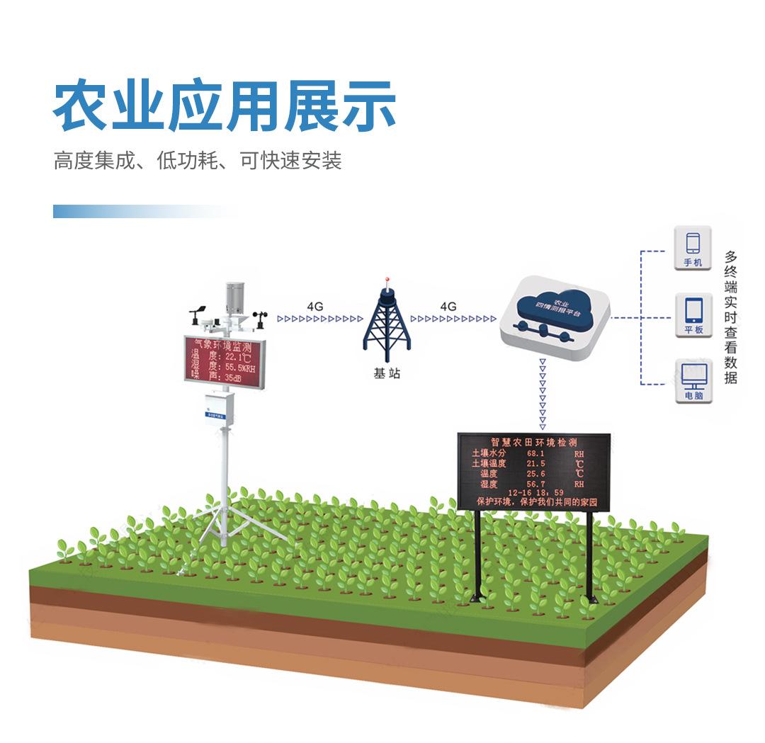 详情05.jpg