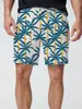 Venda Direta de Fábrica Calças de Cinco Pontos Impressas em 3D Calças Havaianas de Praia Masculinas Shorts para Férias na Beira-Mar Venda Quente Transfronteiriça Novo Estilo