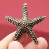 Estrella de Mar Simulada Hogar Adornos Chinos Aleación Modelo de Juguete Animal Latón Sólido Criatura Submarina Estrella Mascota de Té