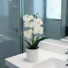 Flores Artificiales Phalaenopsis 5 Flores Artificiales en Maceta Bonsái Escena de Hogar y Oficina Decoración de Plantas Verdes Accesorios de Paisajismo