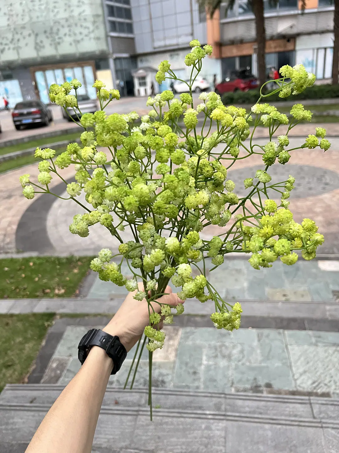 微信图片_20230412170736.jpg