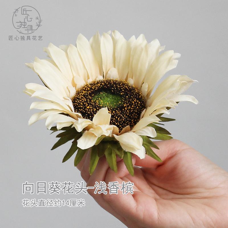 向日葵花头  浅香槟