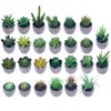 [Suculentas Mini] Planta Suculenta Artificial Bonsái en Maceta de Pulpa de Papel (Maceta Incluida) Adorno Ornamental Imitación de Planta