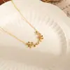 Sentido de alta gama diseño simple de rama de olivo nueva moda nicho cadena de acero de titanio no se decolora cadena de clavícula de lujo ligero para mujer