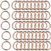 10 Piezas 1 Pulgada Aprox. 2.5 cm Anillo Tórico Metálico con Clip de Resorte Llavero, Mosquetón Redondo