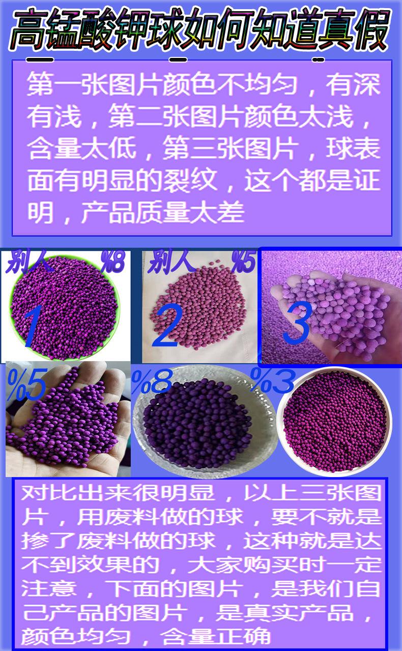 真假