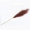 Capim Pampas Artificial Transfronteiriço com 12 Galhos para Decoração de Casa, Folhagem Falsa, Flores Artificiais, Capim Reed para Casamentos