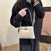Bolsas Vintage de Alta Calidad de Moda para Mujer de Este Año, Nueva Moda Primavera 2026, Estilo Elegante y Casual, Bolsas Grandes para el Trabajo y el Trayecto