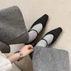 Sapatos Mary Jane de Crina de Cavalo para Mulheres, Primavera Retrô Bico Redondo Versátil Planos de Tira Única Boca Rasa, Sapatos de Vovó