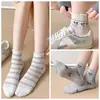 Calcetines de encaje de cachorrito para mujer, de media pantorrilla, malla fina de verano, calados, transpirables, absorbentes de sudor, estilo lindo y juvenil, calcetines cortos de algodón