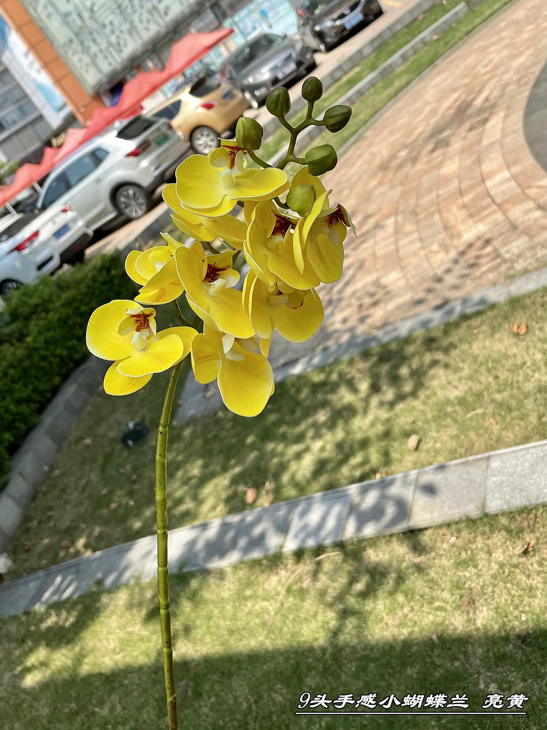 微信图片_20210724103044_副本.jpg