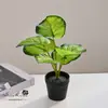 Flores Artificiais, Plantas Verdes Artificiais Transfronteiriças, Vasos Pequenos, Decoração de Casa, Flores Artificiais, Decorações Internas para Festas de Casamento, Bonsai Simulados