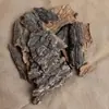 Painel de Fundo de Cortiça de Casca de Árvore Champagne Natural para Animais de Estimação Répteis e Aquários, Adesivo Decorativo de Parede de Plantas Verdes para Paisagismo de Animais de Estimação Répteis