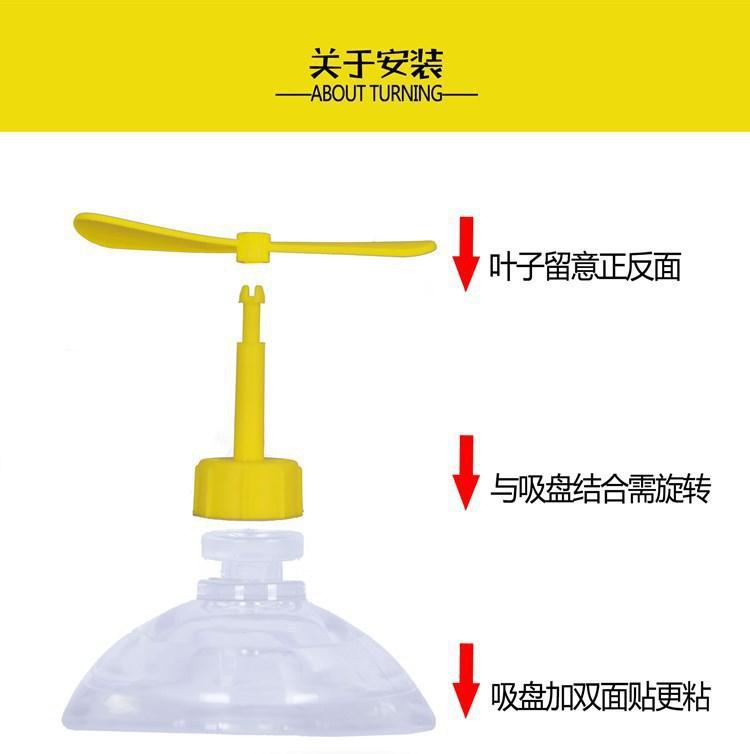 蜻蜓13