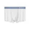 Ropa Interior Masculina de Seda Helada Enfriadora Esterilizada, Ligera 10A Antibacteriana, Entrepierna Transpirable que Absorbe la Humedad, Alta Elasticidad, Slips Boxer Sin Costuras