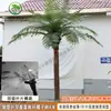 Coqueiro Falso Coqueiro Grande Tropical Outdoor Árvore Artificial para Paisagismo Planta Verde Arranjo de Paisagismo Palmeira Falsa Interna