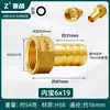 Conector de Latão com Rosca Interna e Espigão de 4/6 Polegadas para Mangueira de Gás Natural, Adaptador Roscado Reto Espessado, Conexão de Cobre