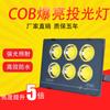 Luz de proyección LED CC de bajo voltaje 12V24V36V48 voltios Lámpara de iluminación Foco marino luz de proyección exterior remota