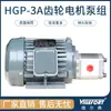 Unidad de Motor de Bomba de Engranajes Bomba de Aceite Hidráulico 0.75KW+HGP-1A 1.5KW+HGP-2A HGP-3A