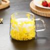 Copo de Vidro de Camada Dupla com Flores Naturais Novo Produto Transfronteiriço Alto Valor Estético Caneca de Café Souvenir Copo Simples de Alto Borossilicato Copo de Água