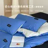 Conjunto de Cama de Quatro Peças Listrado em Cores Blocadas com Textura de Corda, Estilo Minimalista, Absorvente de Umidade, Respirável, Algodão Puro, Macio e Confortável