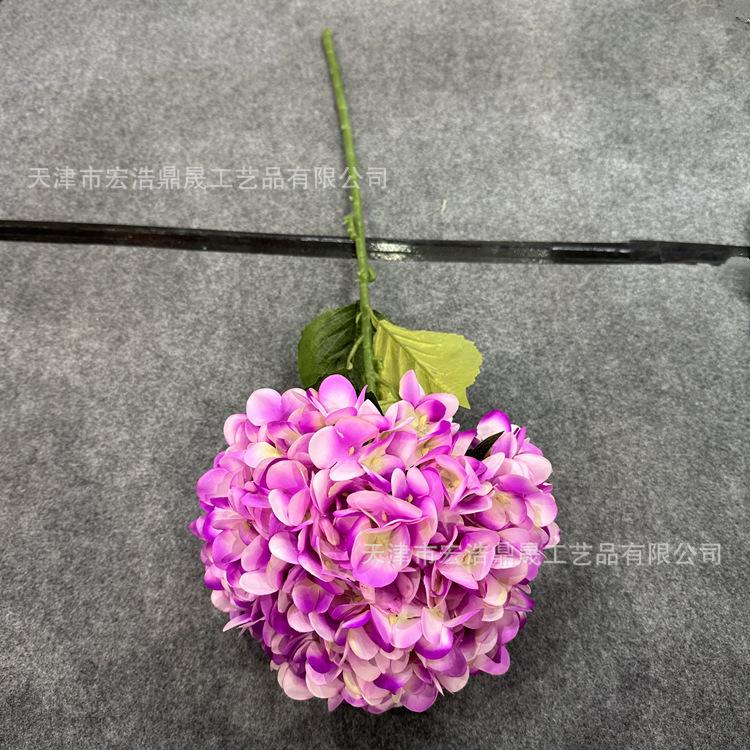微信图片_202302211558145_副本
