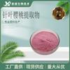 Extracto de Cereza Acerola con 17%/25% de VC Polvo de Cereza vc Polvo Xinyao Bio