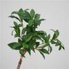 Ma Zui Madera simulación Planta verde japonesa modelo de hoja casa porche balcón plantas decorativas flores artificiales accesorios para fotos venta al por mayor