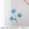 3 flores artificiais de dálias com pétalas multicamadas, cheias e tridimensionais, colocadas em um vaso na sala de estar para criar uma cena floral suave