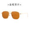 Nuevas Gafas de Sol Polygon 9193 Gafas Coreanas de Doble Puente para Hombres y Mujeres Tendencia Transfronteriza Gafas de Sol Oceánicas