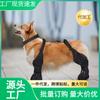 Zapatos para Perro, Zapatos Delgados para Mascotas para Todas las Estaciones, No Removibles, Ultradelgados y Resistentes a las Manchas, Botas de Lluvia de Cuatro Patas Todo Incluido para Cachorros