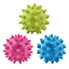 Pelota de Juguete para Perro, Pelota Meteoro, Pelota Espinosa para Dientes y Masticar, Juguete para Cachorro, Pelota Erizo de Mar, Juguete Interactivo de Entrenamiento TPR para Mascotas