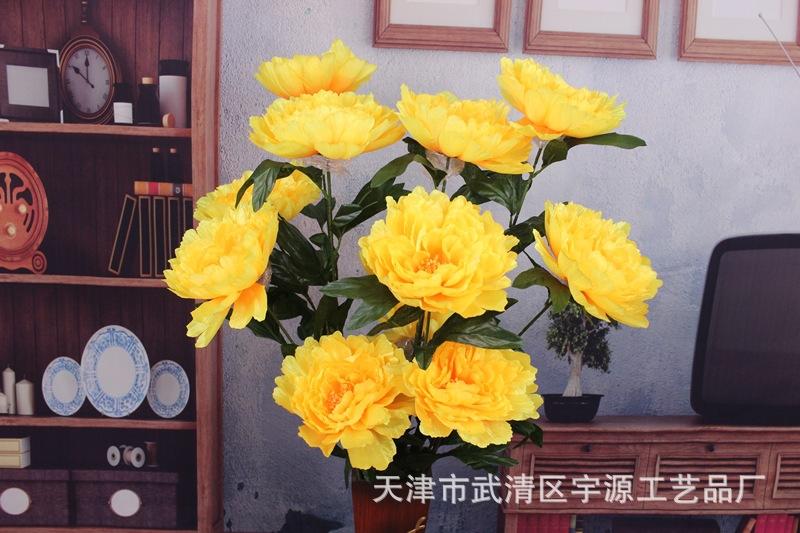 IMG_9572_副本.jpg