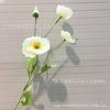 Flor de simulação flor de papoula flor artificial atacado adereços de fotografia conjunto de casamento flores de decoração papoula de simulação