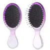 Pente Popular Transfronteiriço com Cerdas de Javali Galvanizadas e Almofada de Ar Mini Portátil Massageador de Couro Cabeludo Pente Compacto Alisador de Cabelo com Bolsa de Ar