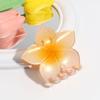 Venta Caliente Transfronteriza Moda Pequeño Fresco Combinación Perfecta Degradado Teñido Simi Flor Pinza Pinza para el Cabello de Niña Combinación Perfecta Accesorios para el Cabello