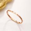 Directo de Fábrica Transfronterizo Explosiones Chapado en Titanio Acero 18K Pulsera para Mujer Sin Color Personalidad Flush Nicho Moda en stock