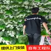 [Fusão Neve de Primavera] Parede de Plantas Simuladas 1 Metro Quadrado Texturizada Tridimensional Decoração de Parede de Plantas Verdes Simuladas Verde