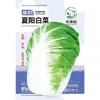 Semillas de Verduras Variadas para Otoño e Invierno, Semillas de Col China, Plántulas con Alta Tasa de Germinación, Nuevas Variedades de Colza Empresas Mayoristas