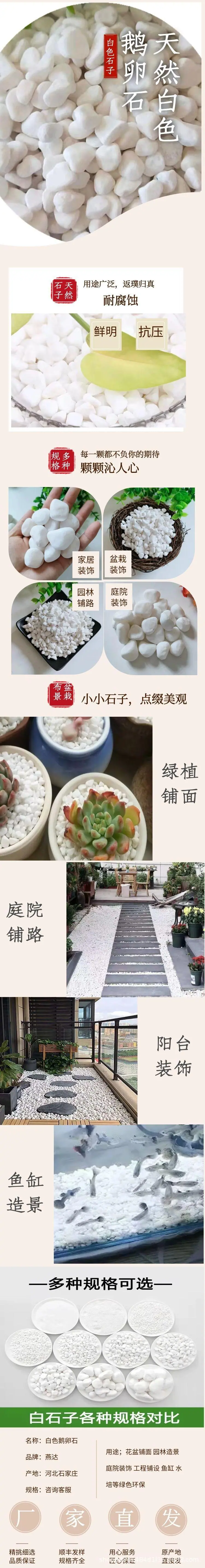 图怪兽_f2d03a2dfb1c171d5e4477d50d