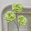 Plantas Verdes Artificiais para Casamento, Grama Aspargo Verde Estilo Floresta, Flores Artificiais Verdes, Materiais Florais Artificiais para Casamento, Série de Decoração para Salão de Casamento