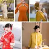 Tiras de Piel Sintética de Visón para Cheongsam, Flecos para Solapa y Puño de Hanfu DIY, Flecos de Danza del León, Tiras de Felpa para Ropa, Accesorios al por Mayor