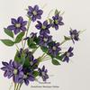 Clematis Artificial Estilo Europeo Pastoral Fresco Decoración del Hogar Arreglo Floral Flores de Boda Adornos de Alta Gama Venta al por Mayor
