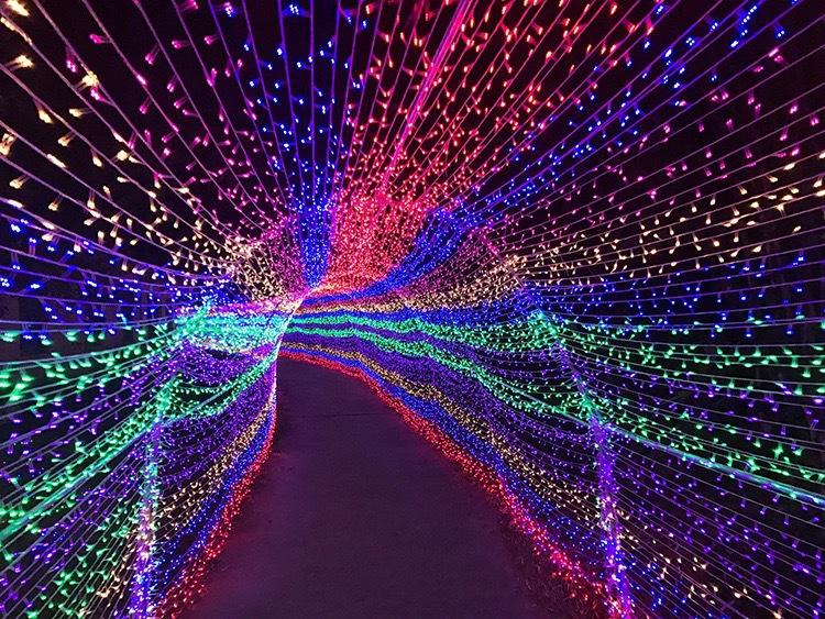 IMG_8136(20220930-082030)