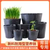 Taza de nutrientes, maceta para plántulas, maceta de nutrientes, maceta para plántulas, bolsa de nutrientes agrícola desechable de plástico engrosado, bolsa para plántulas, maceta