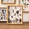 Moldura para espécimes de plantas, moldura de picture frame vintage em estilo floresta oca tridimensional de pinha e folha feita à mão, ornamento decorativo de mesa